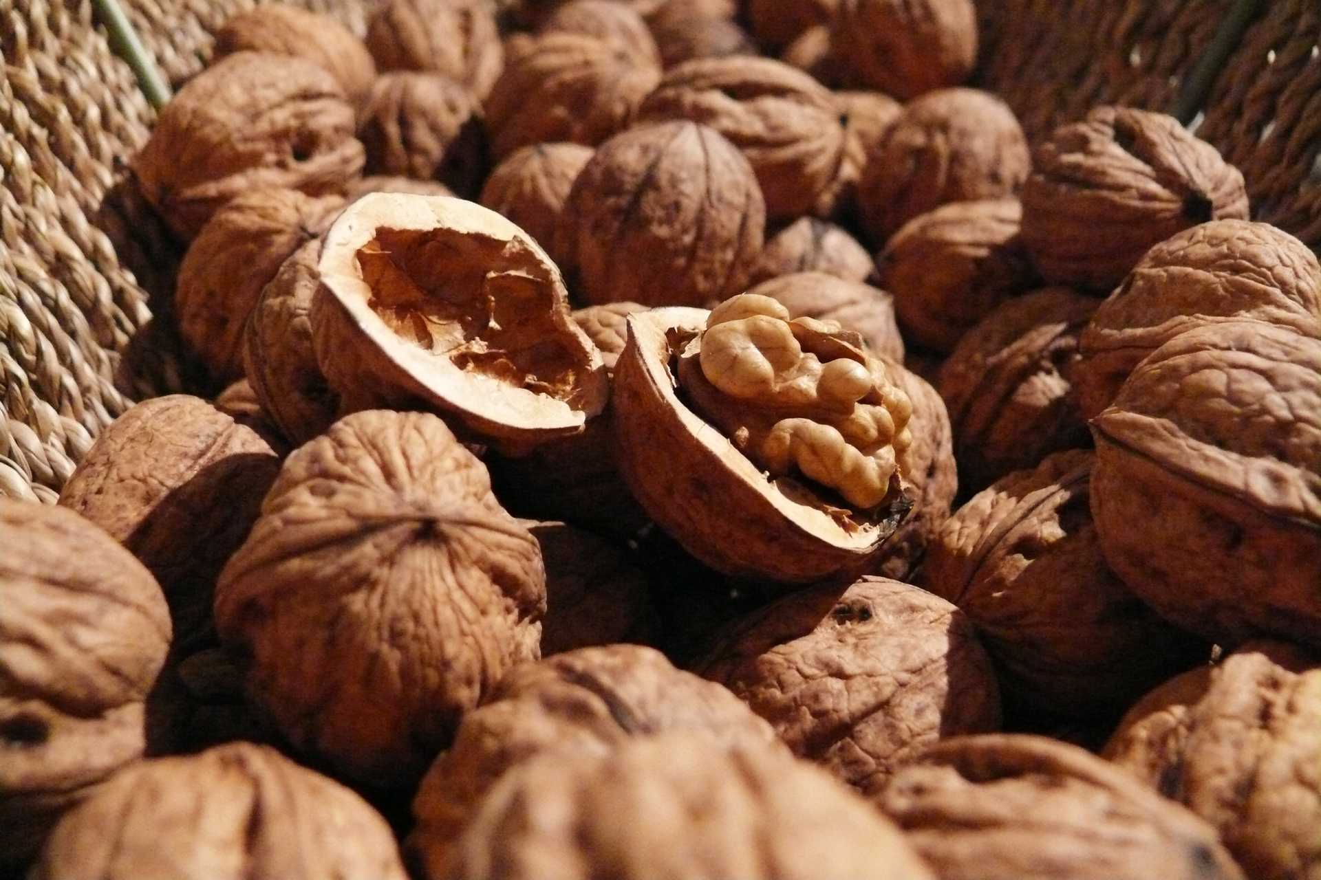 walnuts